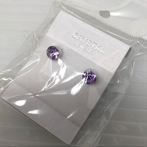 Purple Gem Stud Earrings (G1)